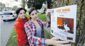  ?? MARK VAN MANEN/PNG ?? Marisa Nichini and her daughter Téa, 13, post a sign for dog Samantha, who has been missing since March 29. The former show dog had recently moved to Canada from Washington state.