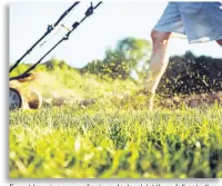  ??  ?? Forget bagging grass clippings. Instead, let them fall onto the lawn to act as fertilizer.