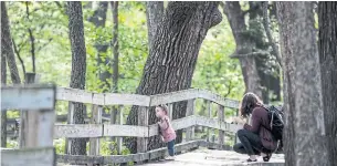  ?? CHRIS MACHIAN PHOTOS THE NEW YORK TIMES ?? The Fontenelle Forest Nature Center has miles of hiking trails of varying degrees of difficulty.