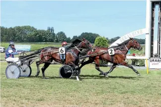  ?? PHOTO: RACE IMAGES ?? Junior driver John Morrison pilots Seaswift Joy to victory in Saturday’s Geraldine Cup at Orari over James Dean.