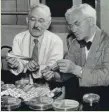  ?? ASSOCIATED PRESS ?? Selman A. Waksman (left), discoverer of streptomyc­in, and Alexander Fleming, discoverer of penicillin, compare notes during a visit to Rutgers University, New Brunswick, N.J., on July 11, 1949.