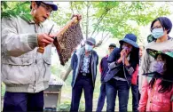  ?? PHOTO: I-HWA CHENG, AFP ?? Tsai Ming-hsien, left, holds a frame full of bees from a hive box during an urban beekeeping class in New Taipei City on March 6.