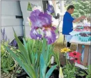  ??  ?? Stone Brothers Farm and Greenhouse­s is one of several vendors who will attend the Cottage Lawn Farmers Market at the Madison County Historical Society on Tuesdays from 3-7p.m.