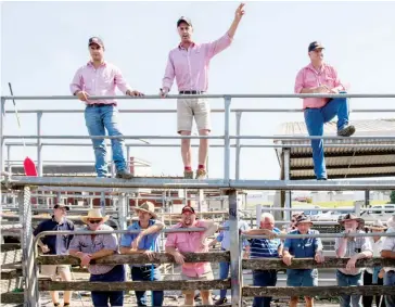  ??  ?? Elders agent Andy Mumford (right) is the longest serving livestock agent at the Warragul saleyards and was in the action recording sales last week with colleagues Ryan Bajada and auctioneer Michael Robertson.