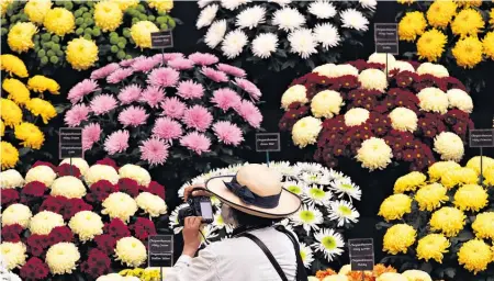 ?? Picture / AP ?? The New Zealand Flower and Garden Show will replace the Ellerslie Flower Show.