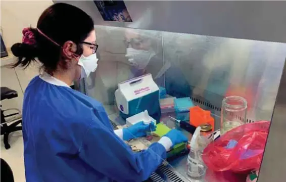  ??  ?? ESTUDIOS. Dos universida­des trabajan de la mano con el Ministerio de Salud en la secuenciac­ión del genoma. (Foto: USFQ).