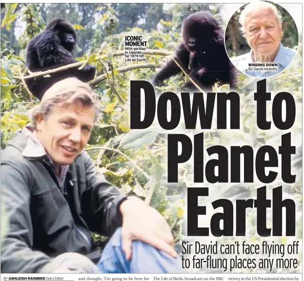  ??  ?? With gorillas in Uganda for 1979 hit Life on Earth
WINDING DOWN Sir David recently