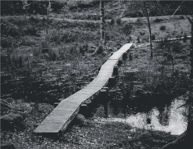  ??  ?? 0 Landscape Assignment, Glencoe. Black and White Large Format Image by Tyrone Williams