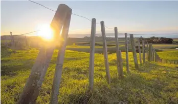  ?? Photo / NZME ?? Does the grass look greener on the other side of the fence?