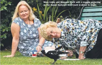  ??  ?? Marg Linley and Margaret Clark with a magpie yesterday as the Aussie Backyard Bird Count is about to begin.