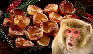  ?? ?? Le Yorkshire pudding est une spécialité britanniqu­e. Un singe en fuite a été capturé après s'être arrêté pour en manger un dans les Highlands écossais.