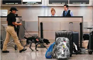  ?? Melissa Phillip / Staff file photo ?? TSA agent Lianne Ortiz works with her dog, Keffe, at George Bush Interconti­nental Airport.