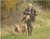  ??  ?? Picking-up pheasants on the St Paul’s Walden Bury drive, where birds were driven over a stand of trees