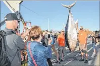  ?? PHOTO BY TINA COMEAU ?? Father and son Michel and Jimmy d’Entremont have photos taken with the 703-pound tuna landed aboard the fishing vessel Capitaine Simon.