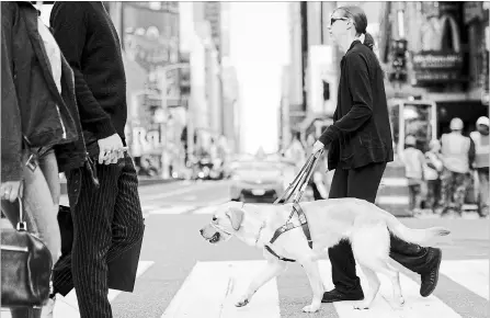  ?? DAVE SANDERS NYT ?? Val Gee, 26, of Dayton, Ohio, and her new guide dog, Ozma, walk through Times Square in Manhattan. A school for Seeing Eye dogs uses the chaos of New York City as its ultimate test when matching young dogs with their blind masters.