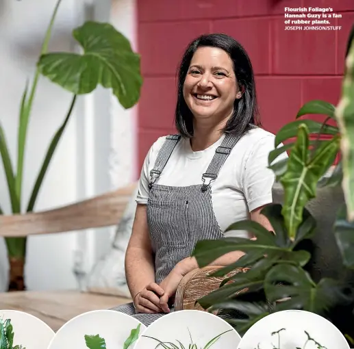  ?? JOSEPH JOHNSON/STUFF ?? Flourish Foliage’s Hannah Guzy is a fan of rubber plants.