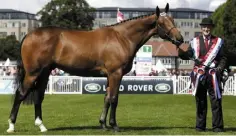  ??  ?? Dessie Gibson holding Greenhall Treasure Island, champion in The ‘Laidlaw’ Perpetual Challenge Cup at the RDS.