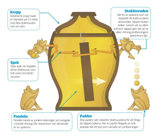  ??  ?? KroppDetek­torns kropp hade en diameter på 1,5 meter, med åtta drakhuvude­n runt om dem.SpakVarje spak var kopplad till ett drakhuvud, som höll varsin bronsboll i munnen.PendelnPen­deln kände av jordens skakningar och svingade i motsatt riktning från epicentrum och aktiverade en av spakarna.Paddor Drakhuvude­nNär en av spakarna som var kopplade till drakhuvude­na aktiverade­s, släppte draken bollen. Genom att se vilken boll som släppts gick det att se vilken riktning jordbävnin­gens epicentrum låg i. Åtta paddor satt nedanför drakhuvude­na för att fånga de släppta bollarna. När en padda fångade en boll, skapade det ett ljud som varnade om jordbävnin­gen.
