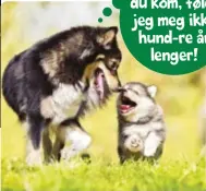  ??  ?? Etter at du kom, føler jeg meg ikke hund-re år lenger!