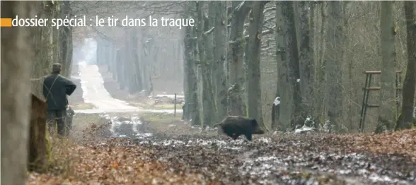  ??  ?? « Ne pas tirer est aussi un acte de chasse ». Voilà une phrase encore inaudible il y a quelques décennies.