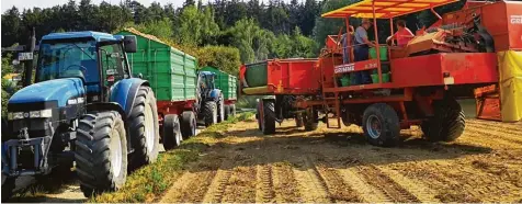  ??  ?? Bei der Kartoffele­rnte: Landwirt Christian Heinrich lenkt den Traktor, sein Bruder Georg und die Eltern Georg senior und Christine sortieren auf dem Vollernter.