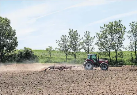  ?? ANDREJ IVANOV WATERLOO REGION RECORD ?? A farmer plows a field near Baden in Wilmot township. Kitchener-Conestoga is a sprawling rural riding that encompasse­s the townships of Wilmot, Wellesley and Woolwich and the southwest corner of Kitchener.