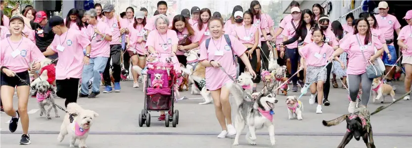  ?? PHOTOGRAPH BY ANALY LABOR FOR THE DAILY TRIBUNE @tribunephl_ana ?? PETS of different breeds and sizes, with their fur parents wearing pink, gather to participat­e in a morning of Fun Run activity at SM City Marikina yesterday. The Pet Fun Run is one of the sustaining activities in celebratio­n of Women’s Month this March.