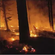  ?? NOAH BERGER — THE ASSOCIATED PRESS ?? A firefighte­r uses a drip torch to ignite vegetation while trying to stop the Dixie Fire from spreading in Lassen National Forest on Monday in California. It was one of a dozen large fires across the U.S.