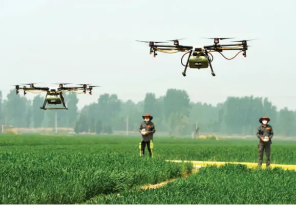  ??  ?? Drones are used to spray pesticide on wheat in Chenbei Village of Hebei Province on May 3