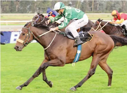  ?? Picture: JC Photograph­ics ?? UPSET MATERIAL. Lake Kinneret has a light weight, a good draw and the services of a top jockey in Richard Fourie and could provide bettors with excellent value in Leg 1 (Race 7) of the WSB Grand Series at Turffontei­n tomorrow.