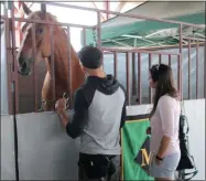  ?? LAUREN HALLIGAN - MEDIANEWS GROUP ?? Fair attendees say hi to a horse at the 2019 Saratoga County Fair.