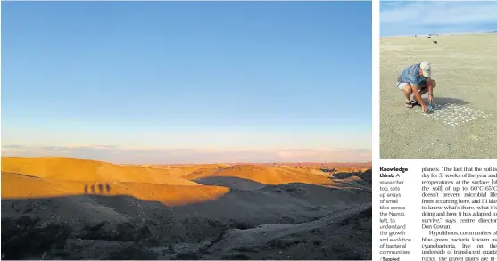  ?? /Supplied ?? Knowledge
thirst: A researcher, top, sets up arrays of small tiles across the Namib, left, to understand the growth and evolution of bacterial communitie­s.