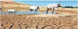  ?? Picture: DISPATCH LIVE ?? PARCHED EARTH: Dire conditions in the Eastern Cape caused by the drought