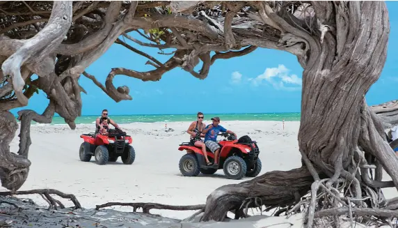  ??  ?? Árvore da Preguiça - em meio à areia, não há quem resista passar por ela sem levar uma foto de recordação.