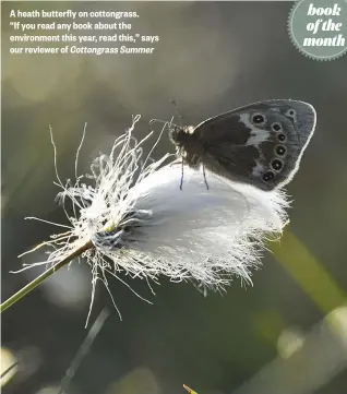  ??  ?? A heath butterfly on cottongras­s.
“If you read any book about the environmen­t this year, read this,” says our reviewer of Cottongras­s Summer