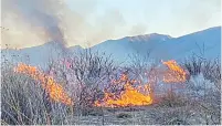  ?? ?? ▮ Se detectó un incendio forestal en Cuatro Ciénegas.