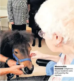  ??  ?? Memorable moment Dalginross House residents were enthused by the equines