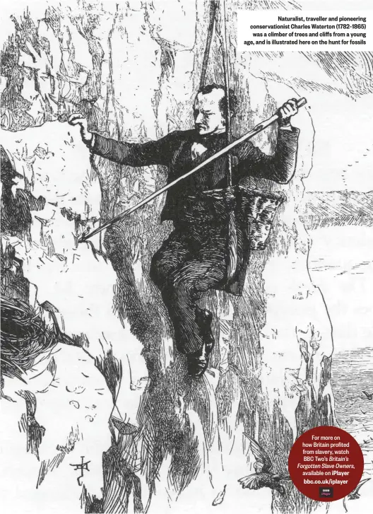  ??  ?? Naturalist, traveller and pioneering conservati­onist Charles Waterton (1782–1865) was a climber of trees and cliffs from a young age, and is illustrate­d here on the hunt for fossils
For more on how Britain profited from slavery, watch BBC Two’s Britain’s Forgotten Slave Owners, available on iPlayer bbc.co.uk/iplayer