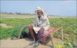  ?? HTPHOTO ?? (Top) A file picture of sand mining and (top) 75yearold farmer Ramprakash Yadav sits on a cot amid searing sand guarding the vegetable planted on the bed of river Betwa.