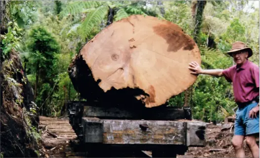  ??  ?? Neville Wiseman, seen here inspecting some of the relics from the native logging days at age 80.