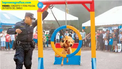  ??  ?? VIDEO: CONCIERTO Y FERIA POLICIAL EN PUERTA DEL DIABLO Espectácul­o. El agente canino Bruno muestra su destreza en una carrera de obstáculos.