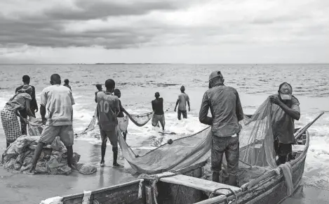  ?? ALEXIS HUGUET, AFP/GETTY IMAGES FILE ?? Fishermen haul their nets by hand from the beach in Muanda, Democratic Republic of Congo. Unregulate­d fishing by foreign trawlers and other factors have depleted fishing stocks and impoverish­ed local fishermen.