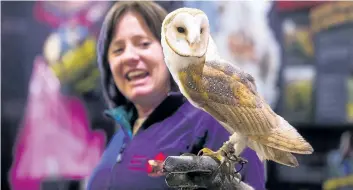  ?? JULIE JOCSAK/STANDARD STAFF ?? Shauna Cowan, co-director of the Canadian Raptor Conservanc­y, holds Joe, a barn owl, at the Niagara Parks Butterfly Conservato­ry Monday. Owls and a bald eagle were on display in advance of the Night Owls travelling exhibit from the Royal Ontario Museum.