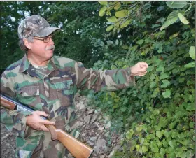  ?? (Arkansas Democrat-Gazette/Bryan Hendricks) ?? Time in the woods allows young hunters to develop skills they can refine throughout their lives, such as identifyin­g food sources like muscadines, which attract squirrels and deer in early fall.