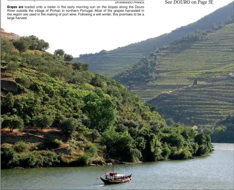  ?? AP/GIOVANNA DELL’ORTO ?? Terraced vineyards cascade down the hillside above the Douro River near Pinhao, Portugal. These mountain-hugging vineyards produce one of the most recognizab­le wines in the world and the most visible export of this economical­ly struggling country.