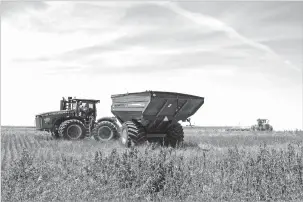  ?? CRAIG HACKER/THE NEW YORK TIMES ?? Harvesting wheat July 31 at Plum Creek Farms, owned by Jason and Justin Ochs, near Syracuse, Kan. The early part of the 2022-23 wheat-growing season on the Great Plains was the driest in 128 years, according to Kansas’ state climatolog­ist, then was followed by heavy rains.