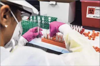  ?? Chandan Khanna / Getty Images ?? In this photo taken Aug. 13, a lab technician sorts blood samples for a COVID-19 vaccinatio­n study at the Research Centers of America in Hollywood, Fla.