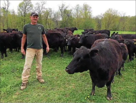  ?? PAUL POST -- PPOST@DIGITALFIR­STMEDIA.COM ?? Kevin Jablonski says working around animals is his favorite part of being a beef cattle farmer.