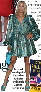  ??  ?? Bushnell wearing the dress that both she and Sarah Jessica Parker own