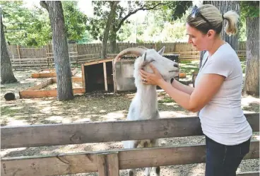  ?? PHOTOS BY SHERYL DEVORE/CHICAGO TRIBUNE/TNS ?? Jessica Reedy, founder of Animal Quest, with her husband, Steve Reedy, pets Bart, a goat on their five-acre property in Antioch, Ill. Bart follows her around and loves to be petted.